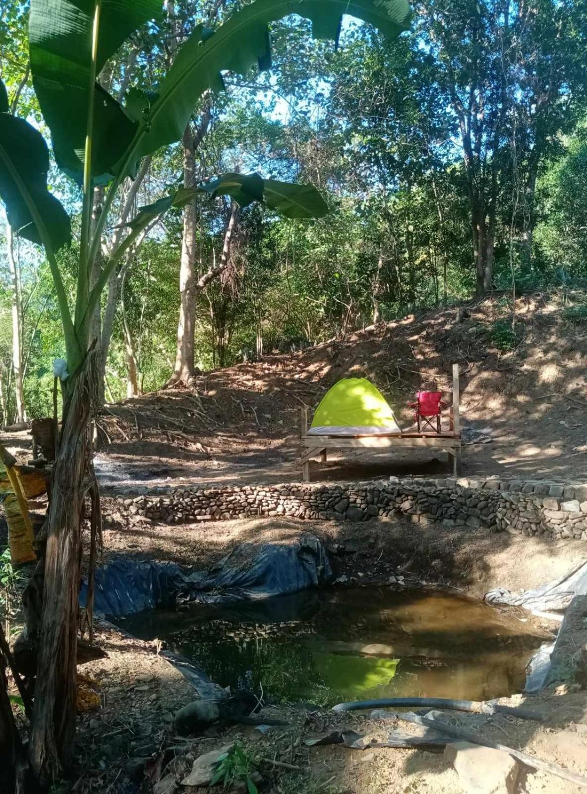 Eastdee Camping Ground Lidlidda Eksteriør billede