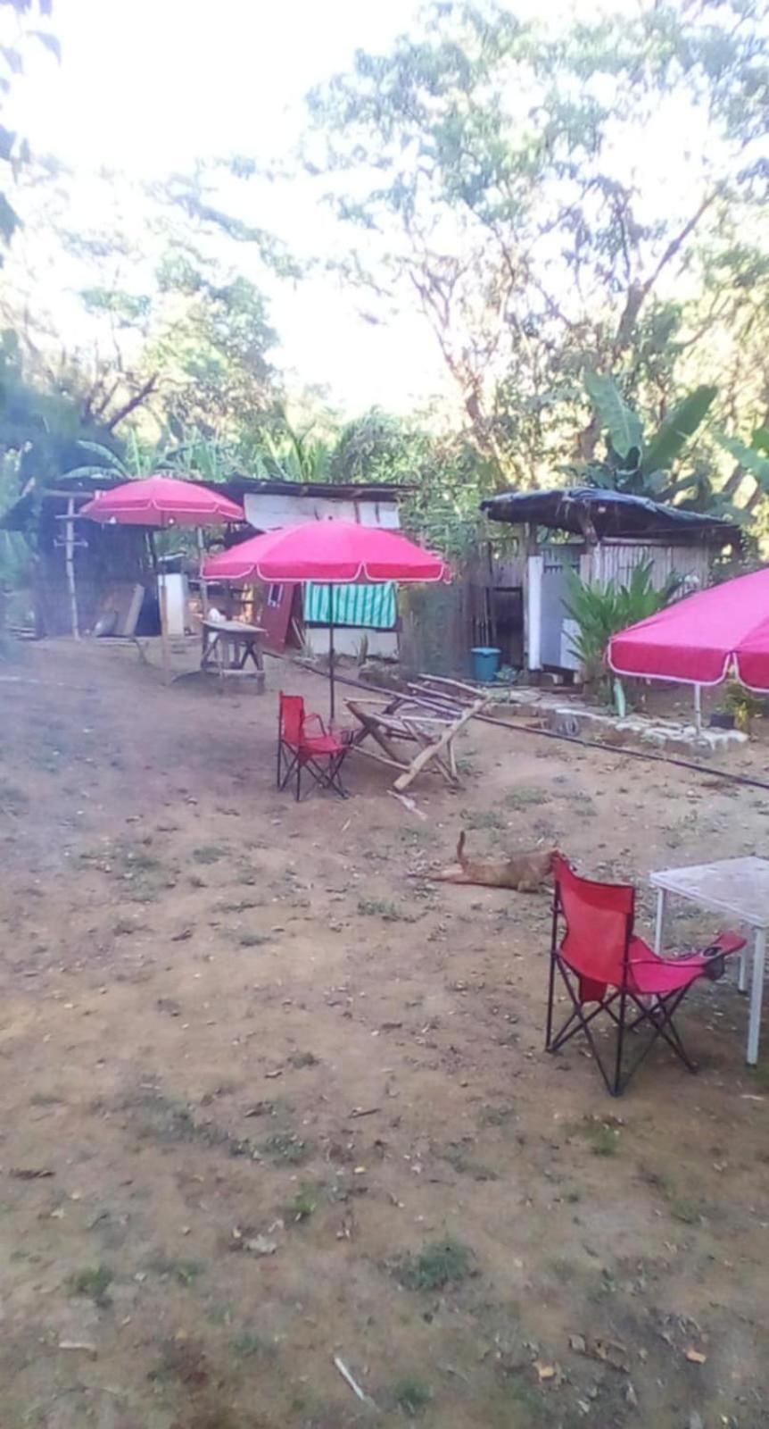 Eastdee Camping Ground Lidlidda Eksteriør billede